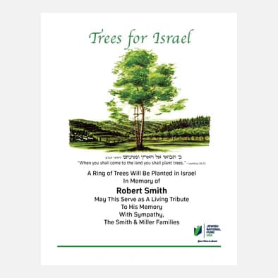 1 Tree