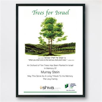 Orchard of Ten Trees in Israel