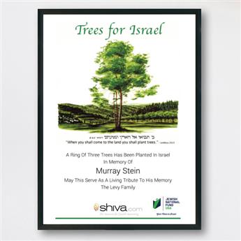 Ring of Three Trees in Israel